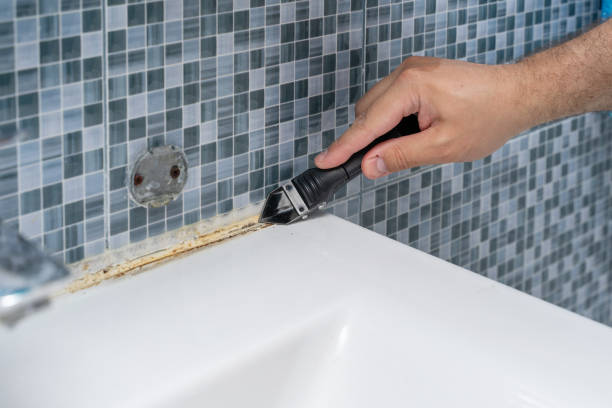 Professional Mold Removal in Nuevo, CA